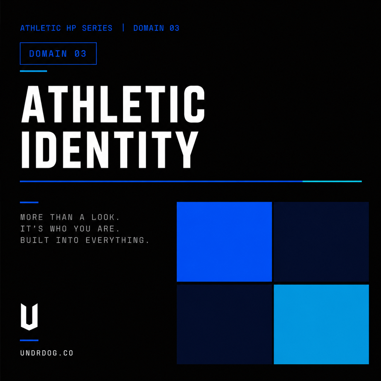 UNDRDOG™ Athletic Identity Worksheet — AHP-03