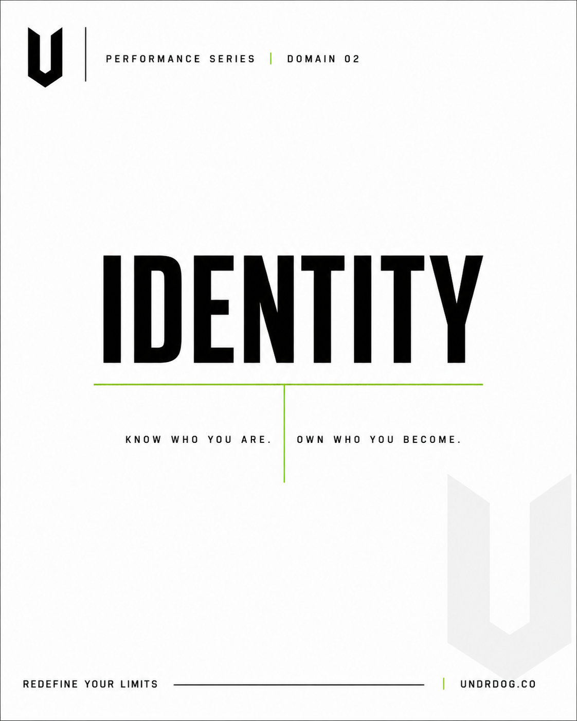 UNDRDOG™ Identity Worksheet — PS-02
