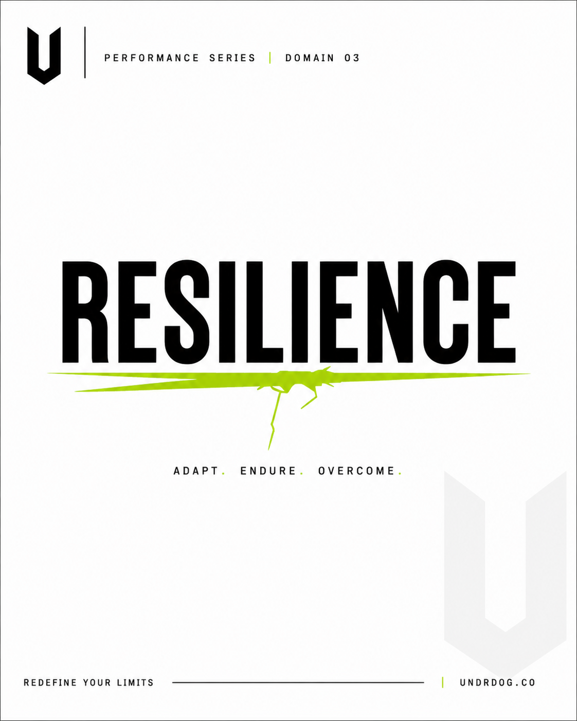 UNDRDOG™ Resilience Worksheet — PS-03