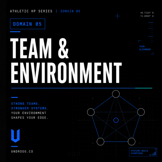 UNDRDOG™ Team &amp; Environment Worksheet — AHP-05