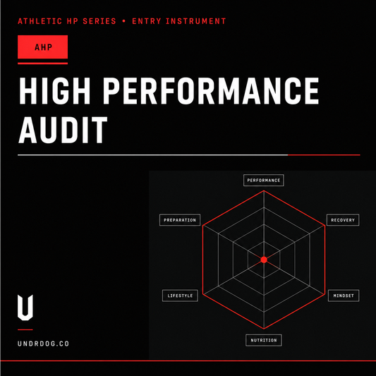 UNDRDOG™ High Performance Audit — HP-AUD