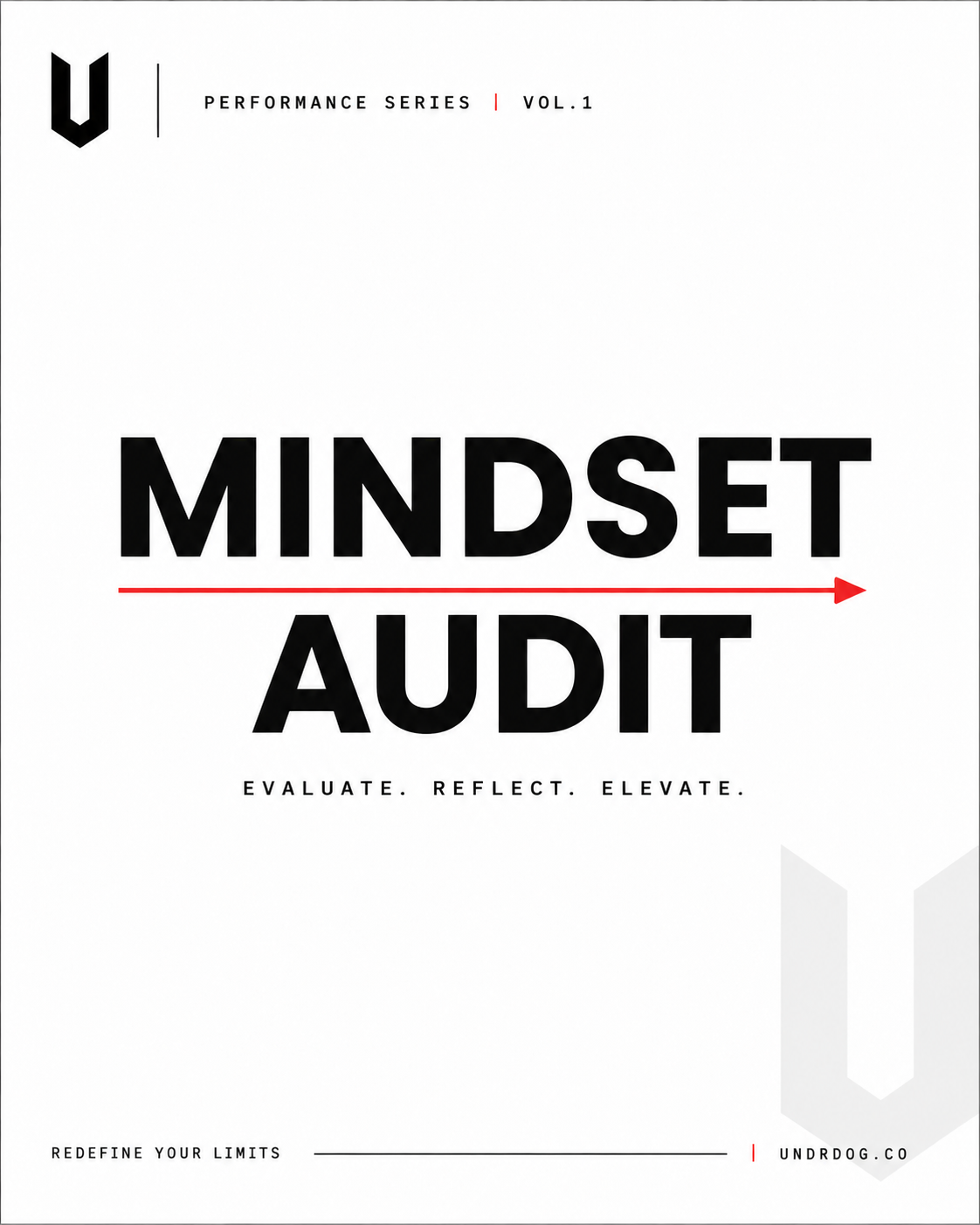 UNDRDOG™ Mindset Audit — PS-00