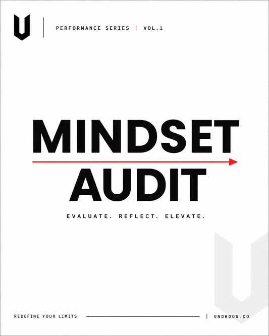 UNDRDOG™ Mindset Audit — PS-00
