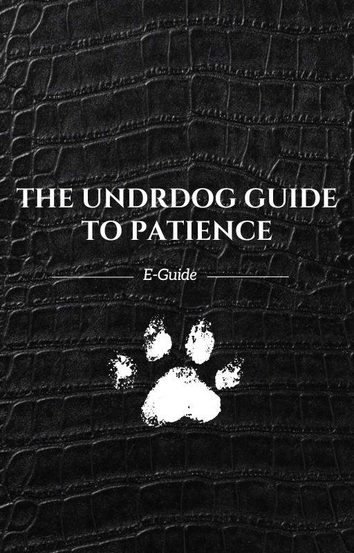 The Undrdog Guide To Patience